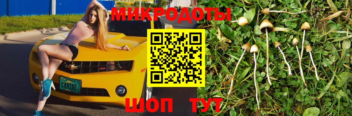 Джанкой  Псилоцибиновые грибы MAGIC MUSHROOMS  Вход с VPN 